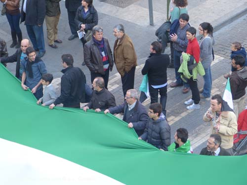 Manifestacion contra el referendum en siria Madrid 2012