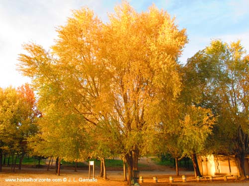 Casa de Campo Otoño Madrid Spain