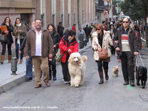 Pan de San Antonio. Fiesta de San Antonio. Calle Hortaleza. Madrid Spain