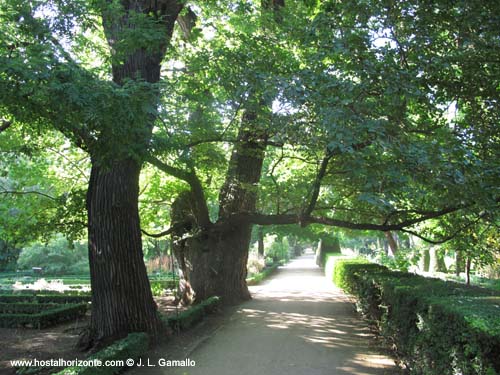 Real Jardin Botanico Madrid Spain Carlos III Villanueva Sabatini