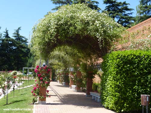 Rosaleda Campo del Oeste Madrid Spain 2012 Concurso de Rosas